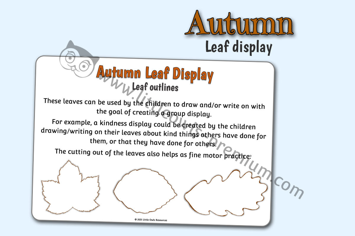 AUTUMN - Leaf Display