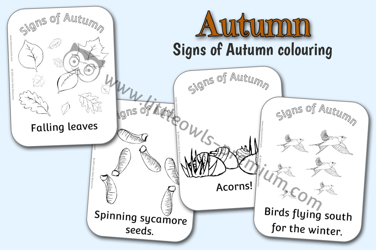 SIGNS OF AUTUMN - COLOURING