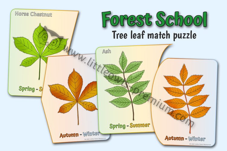 Woodland Trees — Leaf Matching Puzzles — resource cover