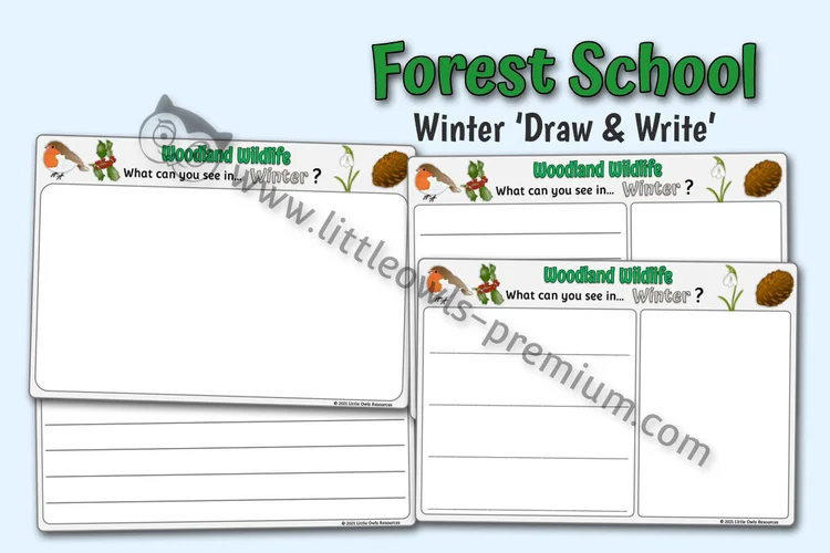 Woodland Wildlife Winter Draw and Write Sheets — resource cover