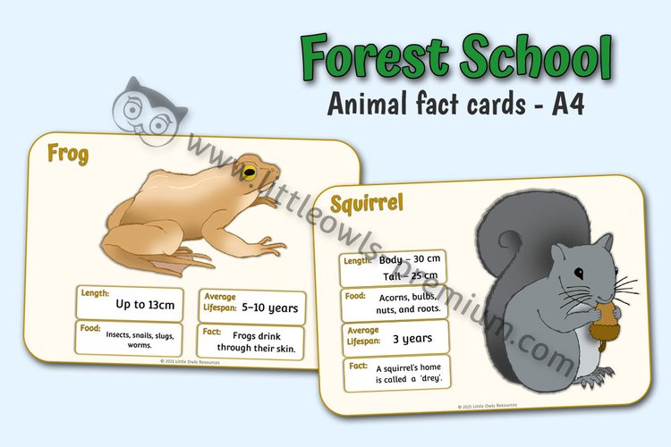 Woodland Animal Fact Cards (A4) — resource cover