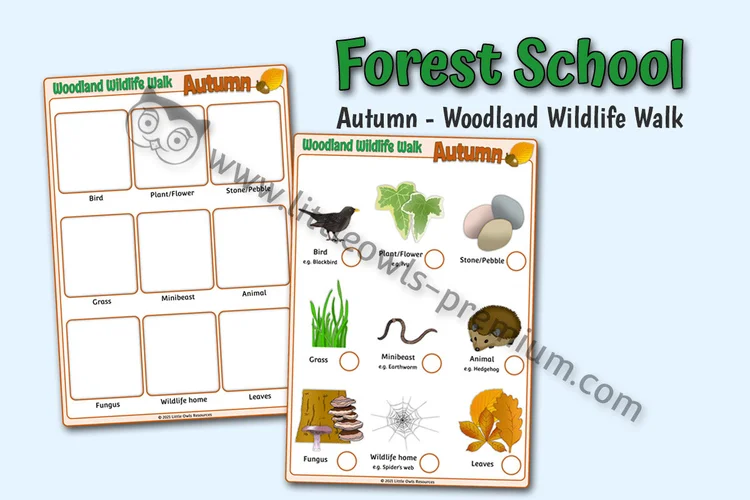 Woodland Wildlife Walk — Autumn — resource cover