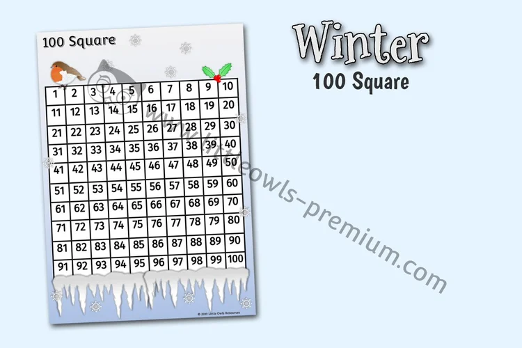 Winter 100 Square cover
