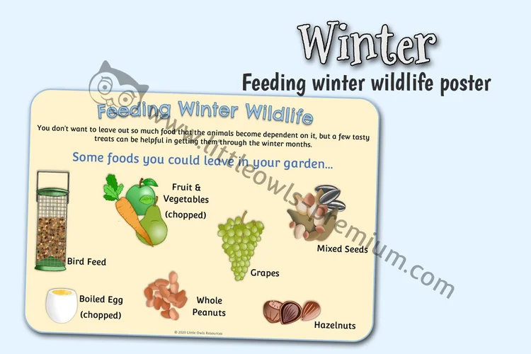 Helping Wildlife in Winter Feeding Poster — resource cover