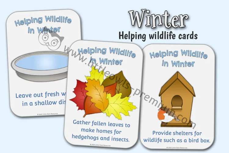 Helping Wildlife in Winter Cards — resource cover