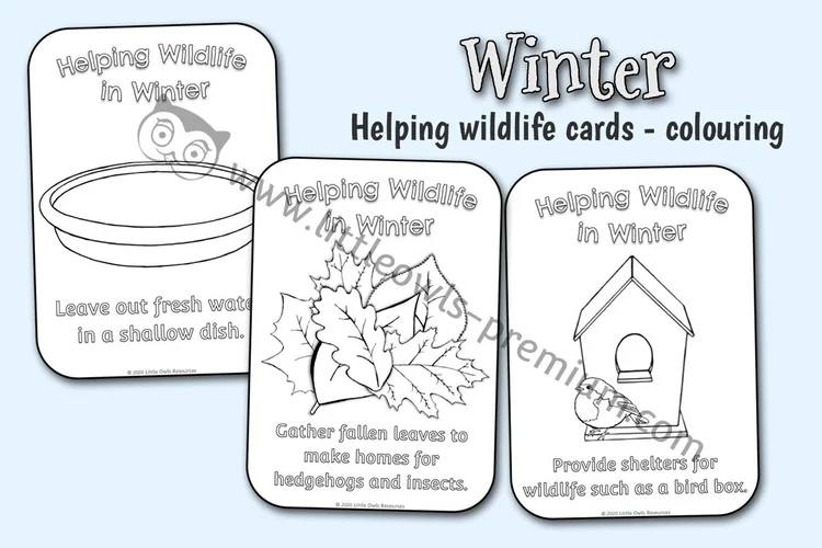 Helping Wildlife in Winter Cards — Colouring — resource cover