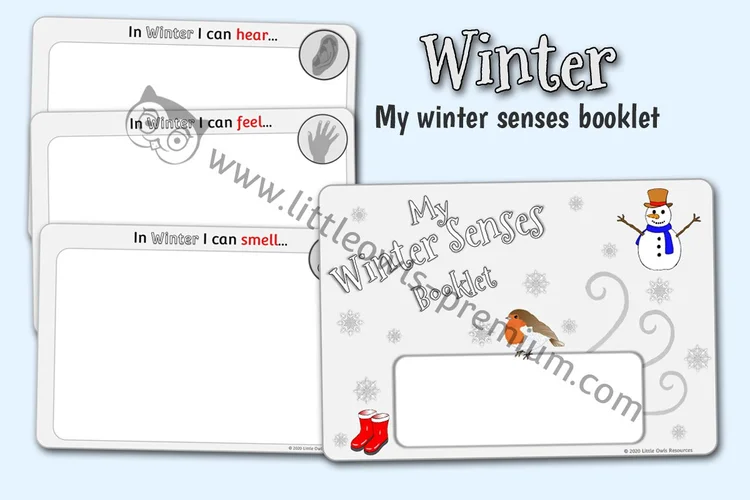 My Winter Senses Booklet — resource cover