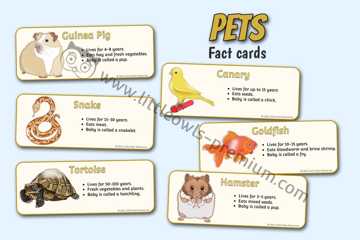 PETS FACT CARDS
