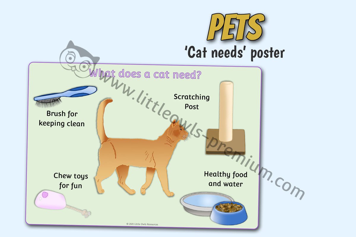 'WHAT DOES A CAT NEED?' POSTER