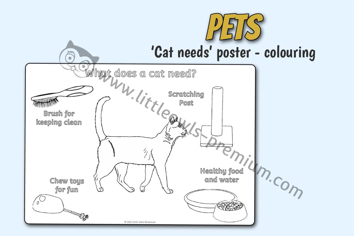 'WHAT DOES A CAT NEED?' POSTER - COLOURING