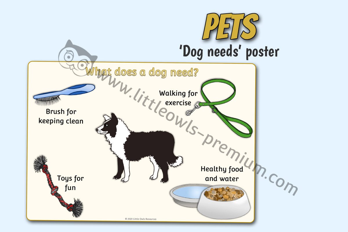 'WHAT DOES A DOG NEED?' POSTER