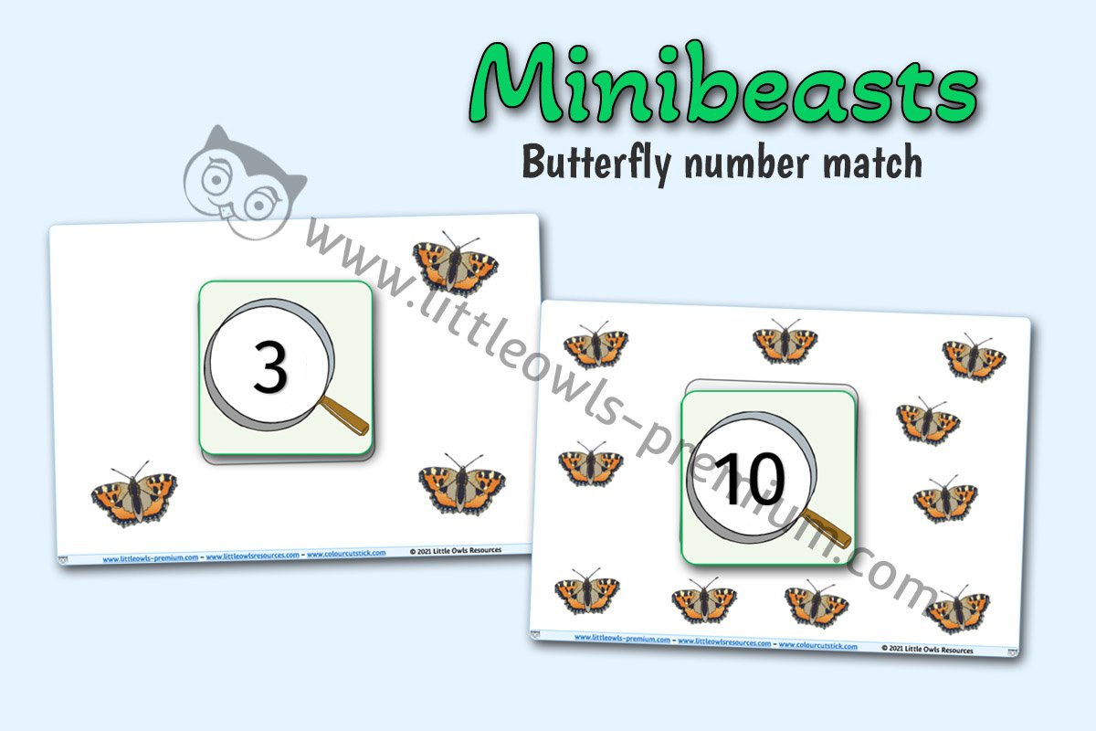 BUTTERFLY & MAGNIFYING GLASS COUNTING/NUMBER RECOGNITION ACTIVITY