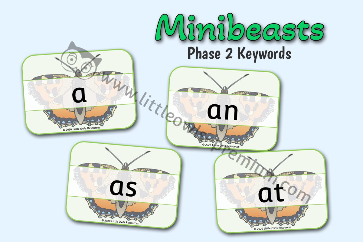 BUTTERFLY PHASE 2 HIGH FREQUENCY SIGHT WORDS