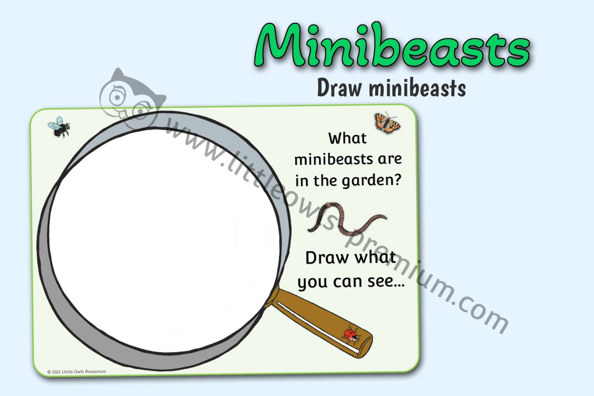 DRAW MINIBEASTS SHEET