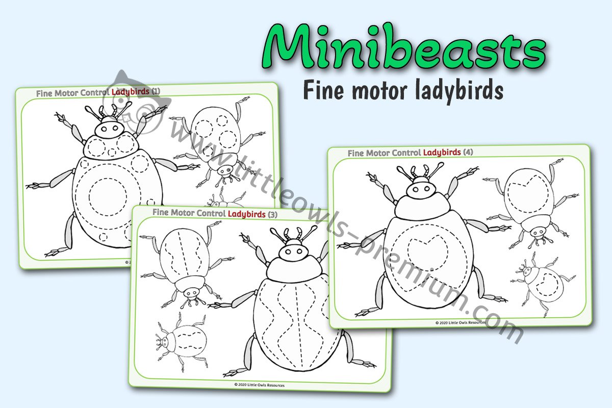 FINE MOTOR LADYBIRDS