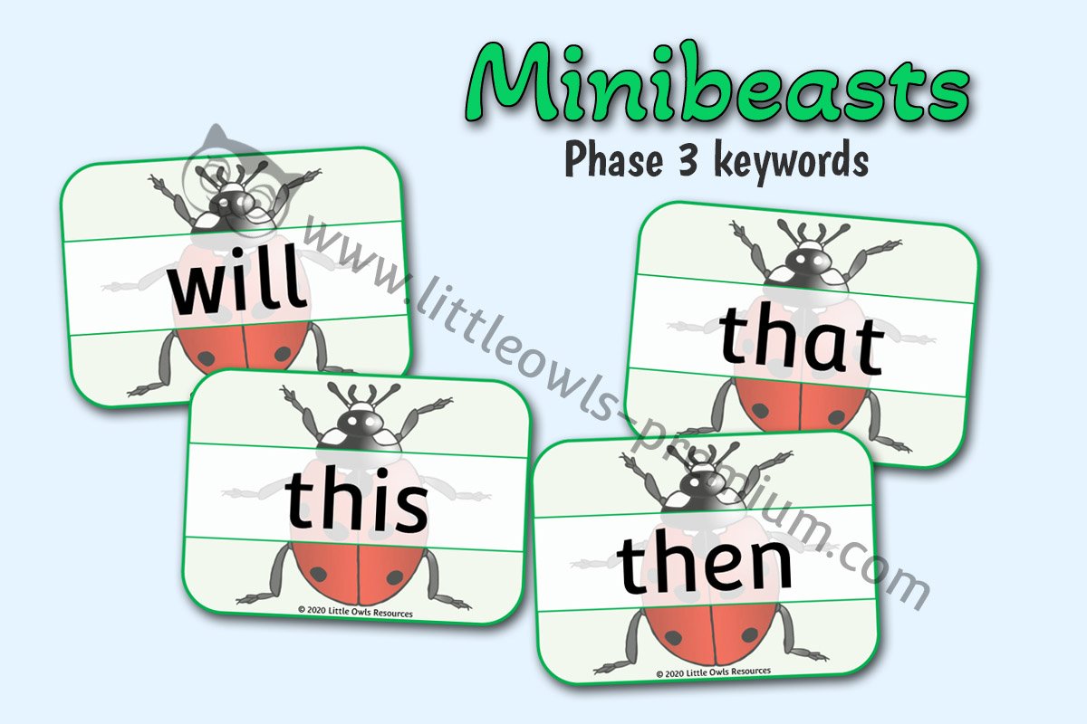 LADYBIRD PHASE 3 HIGH FREQUENCY SIGHT WORDS