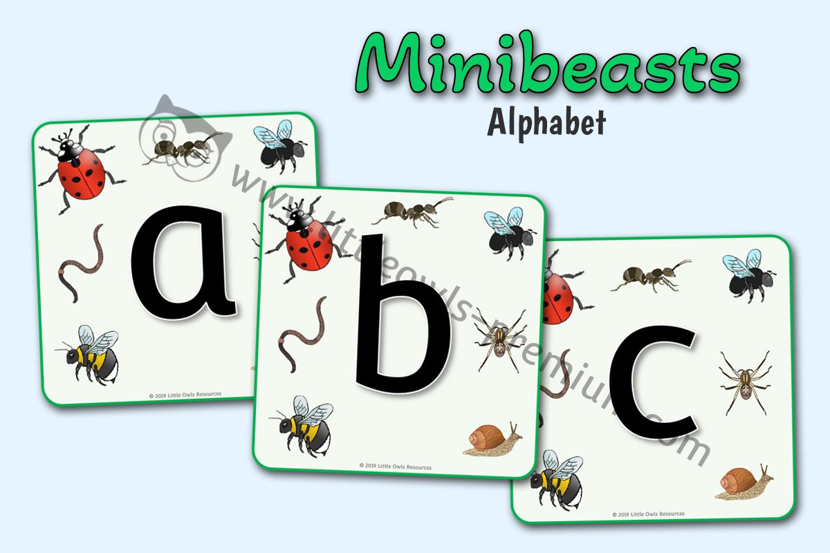 MINIBEAST ALPHABET CARDS/DISPLAY