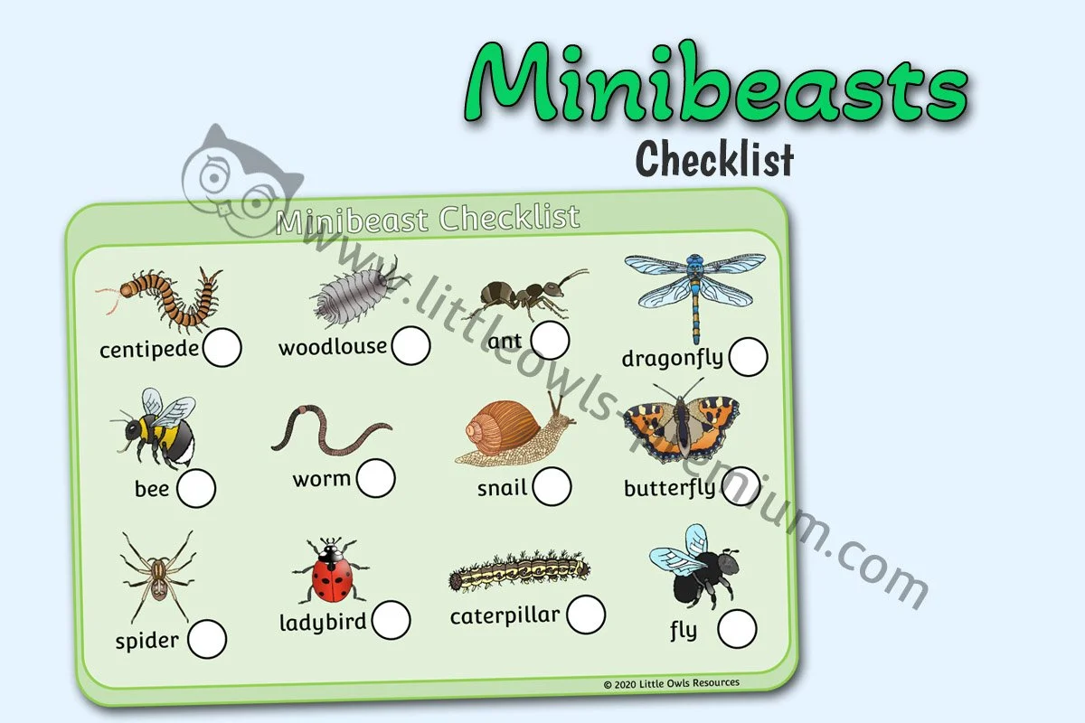 Printable Minibeast Checklist