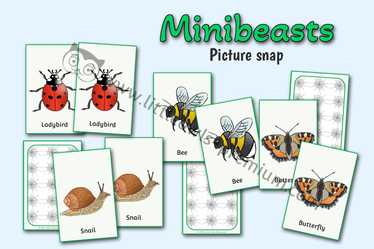 MINIBEAST PICTURE SNAP CARDS