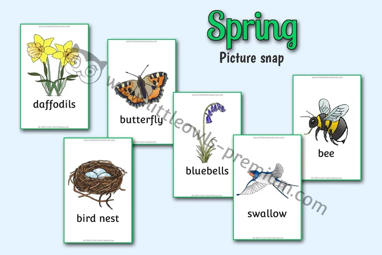 Spring Picture Snap Cards — resource cover