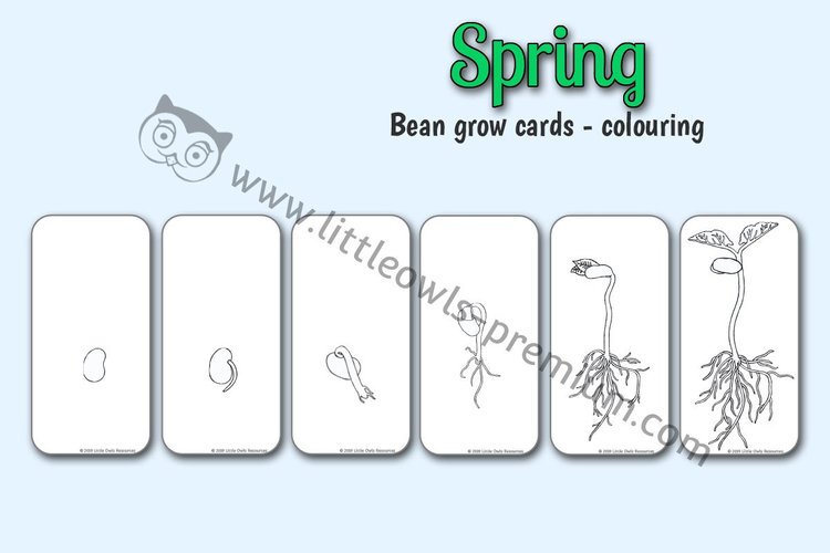 Growing Bean Sequencing Cards — Colouring — resource cover