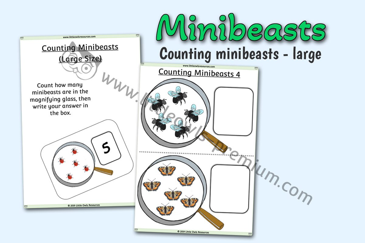 COUNTING MINIBEASTS - LARGE