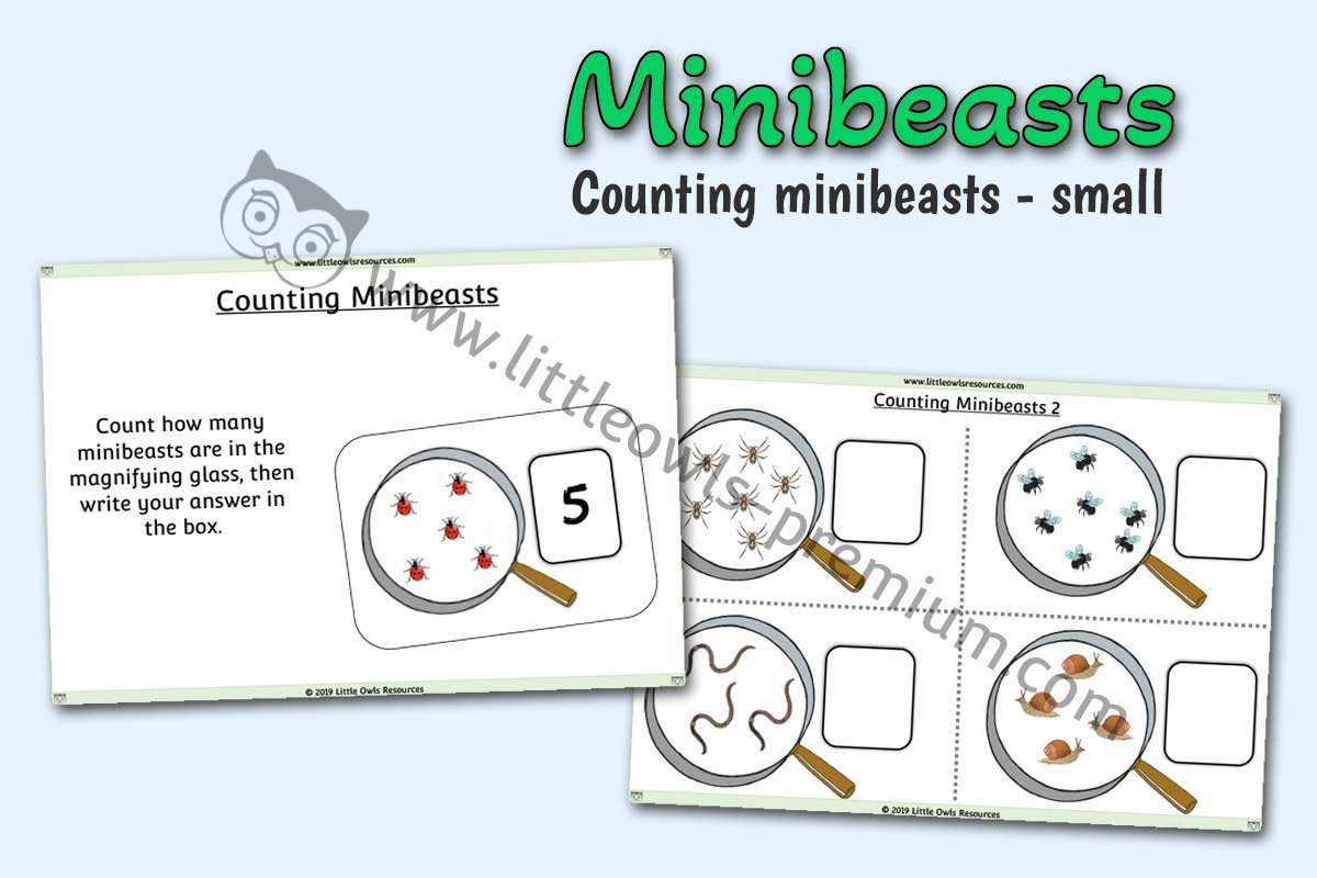 COUNTING MINIBEASTS - SMALL