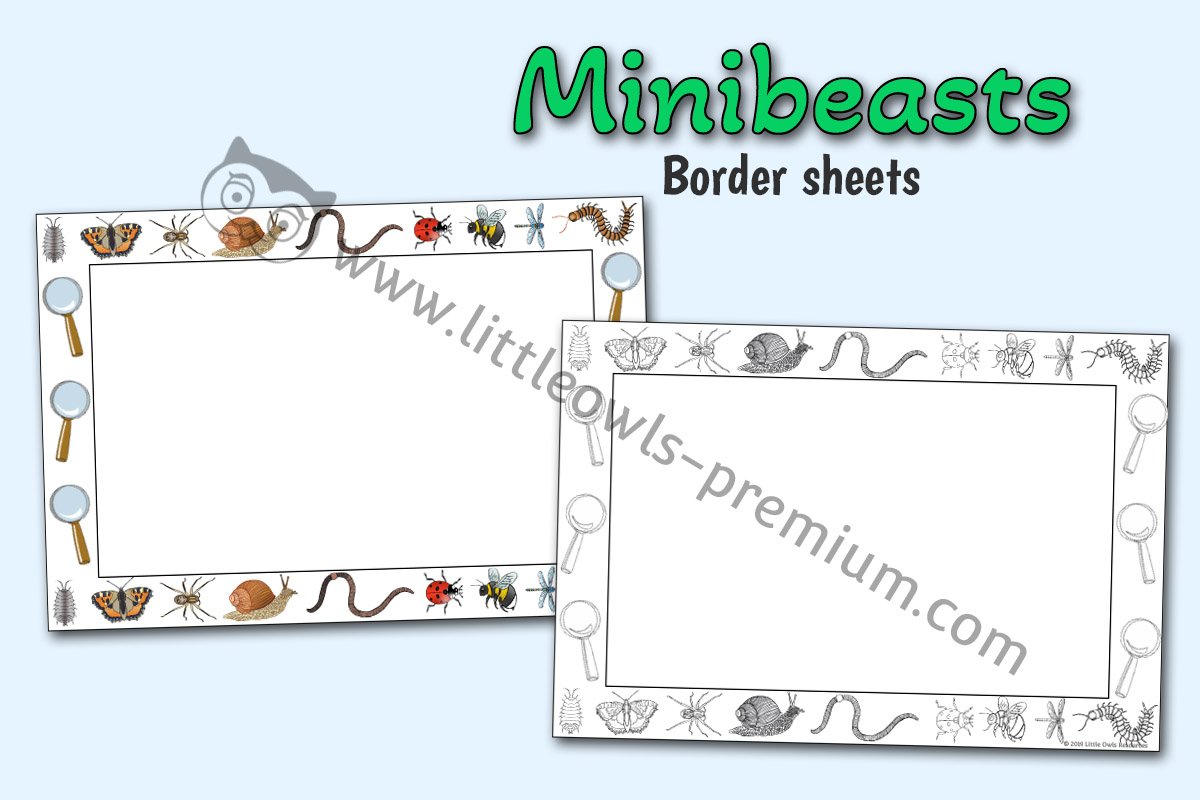 MINIBEASTS BORDER PAPER