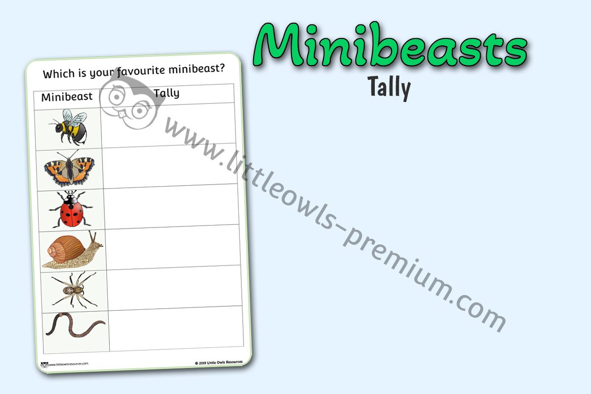 MINIBEASTS TALLY CHART