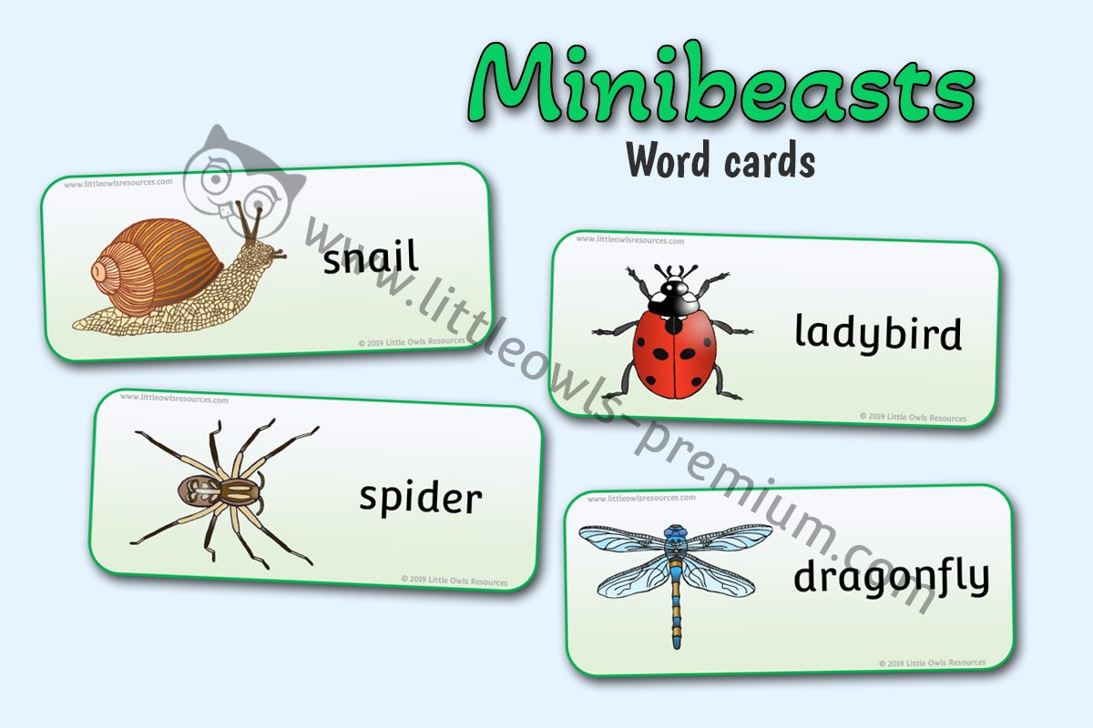 MINIBEAST WORD CARDS