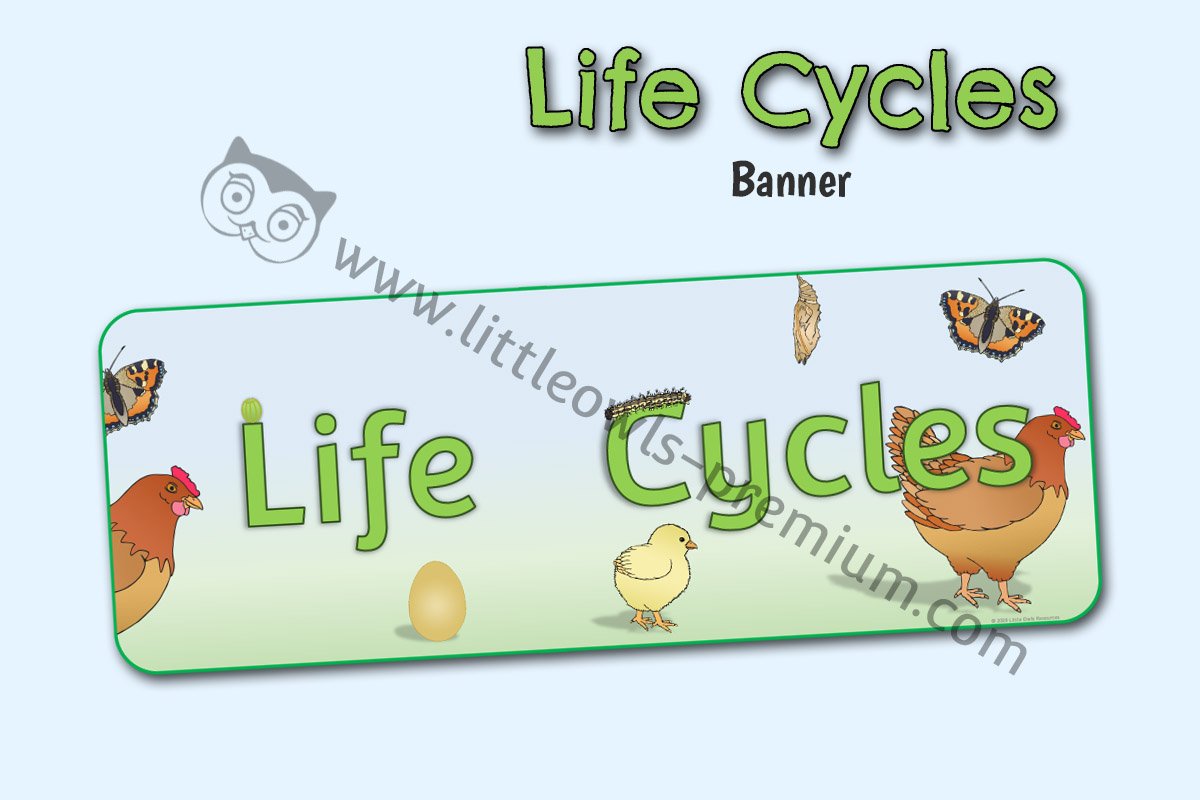 'LIFE CYCLES' DISPLAY BANNER