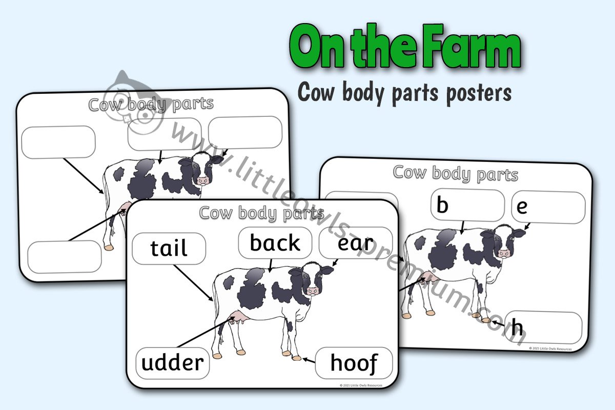 COW BODY PARTS - POSTER & WRITING SHEETS