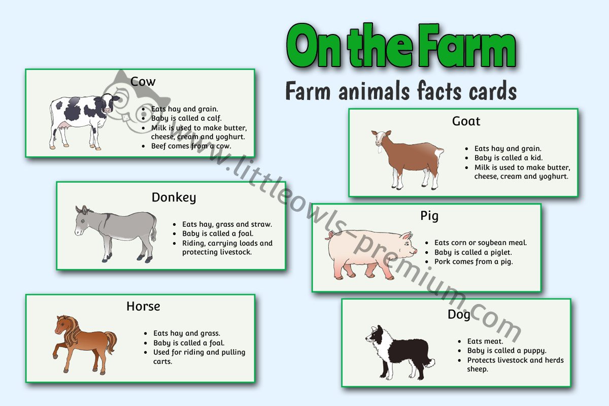 FARM ANIMAL FACT CARDS