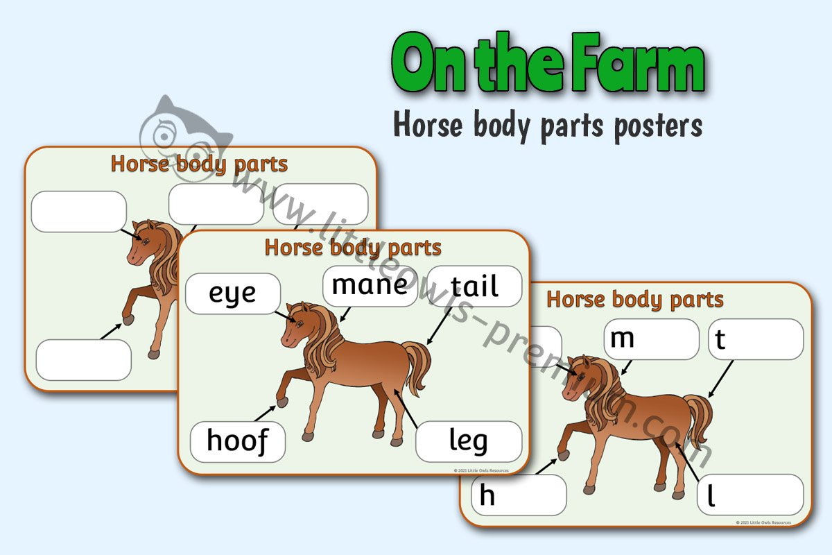 HORSE BODY PARTS - POSTER & WRITING SHEETS
