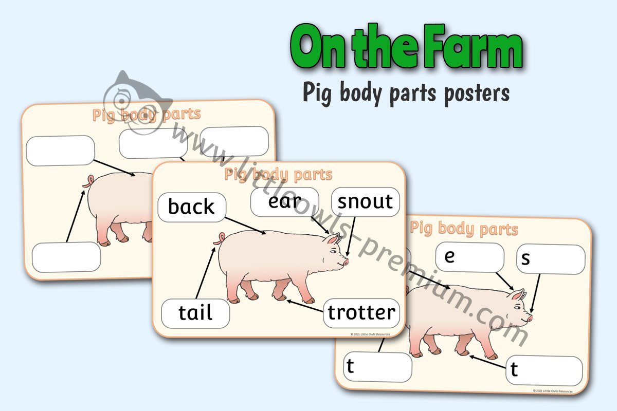 PIG BODY PARTS - POSTER & WRITING SHEETS