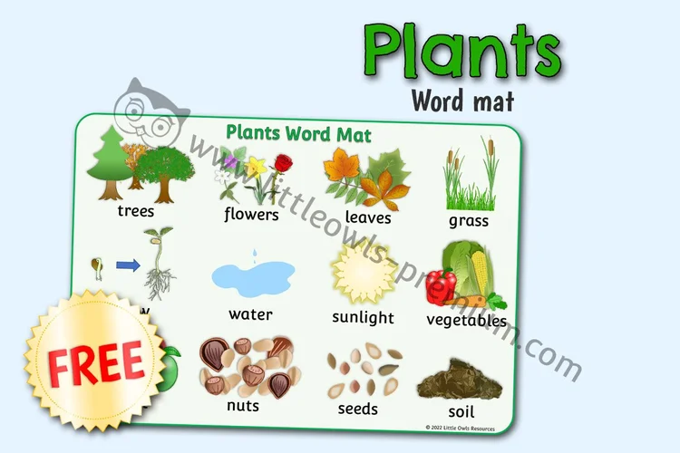 Plants Word Mat — Free Sample — Free Access resource cover