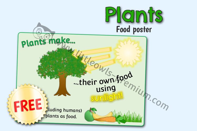 Plants Make Their Own Food Poster — Free Sample — Free Access resource cover