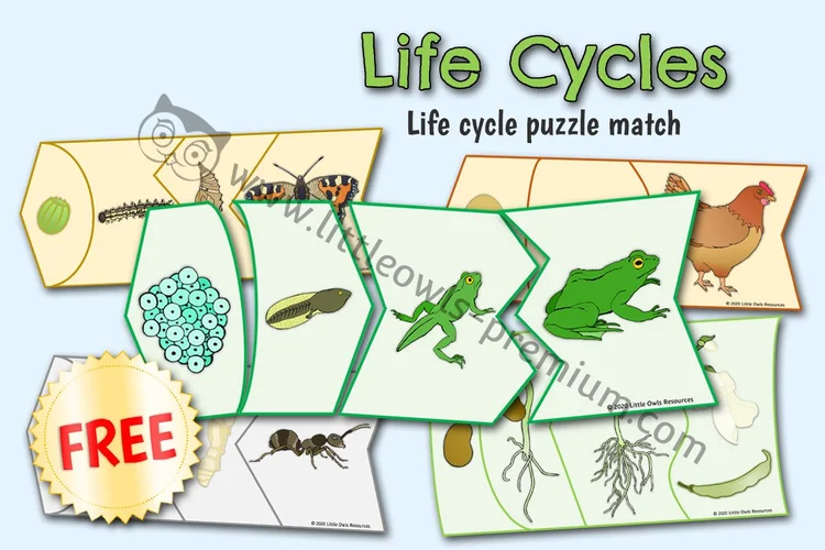 Endless Life Cycle Puzzles — Free Sample — Free Access resource cover