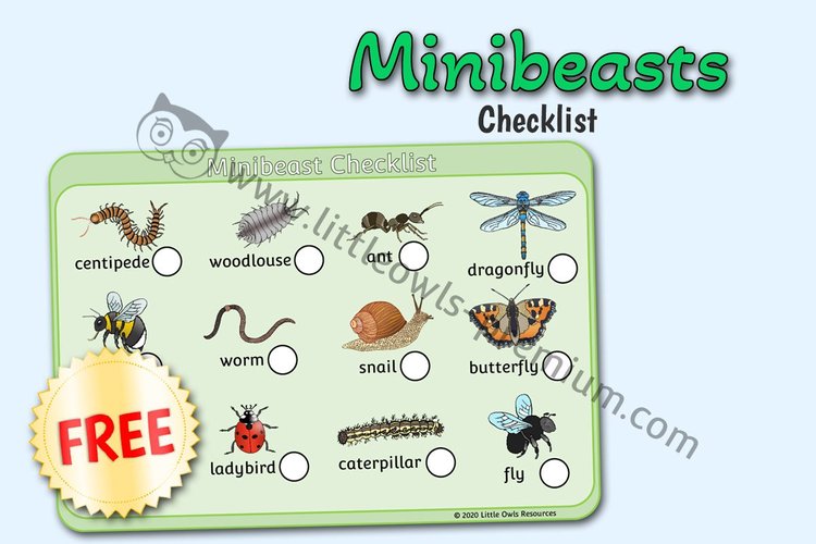 Minibeast Search Checklist — Free Sample — Free Access resource cover
