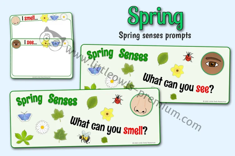 Spring Senses Prompts & Display — resource cover