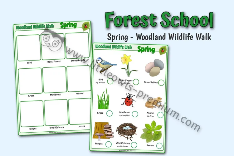 Woodland Wildlife Walk — Spring — resource cover