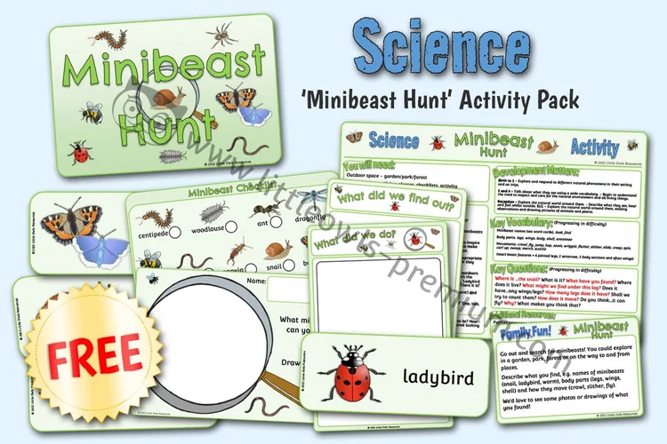 Minibeast Hunt Activity Pack — Free Sample — Free Access resource cover
