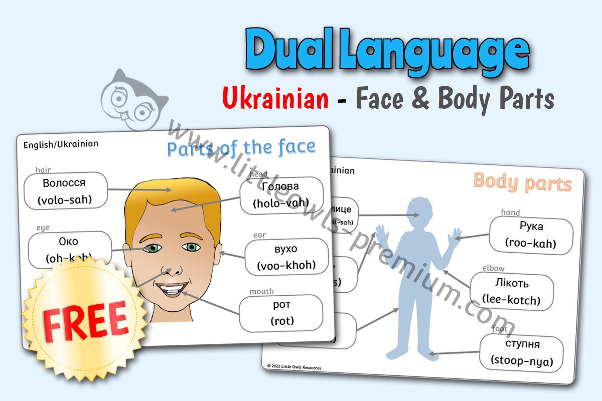 DUAL LANGUAGE - UKRAINIAN - Face & Body Parts (Free Sample)
