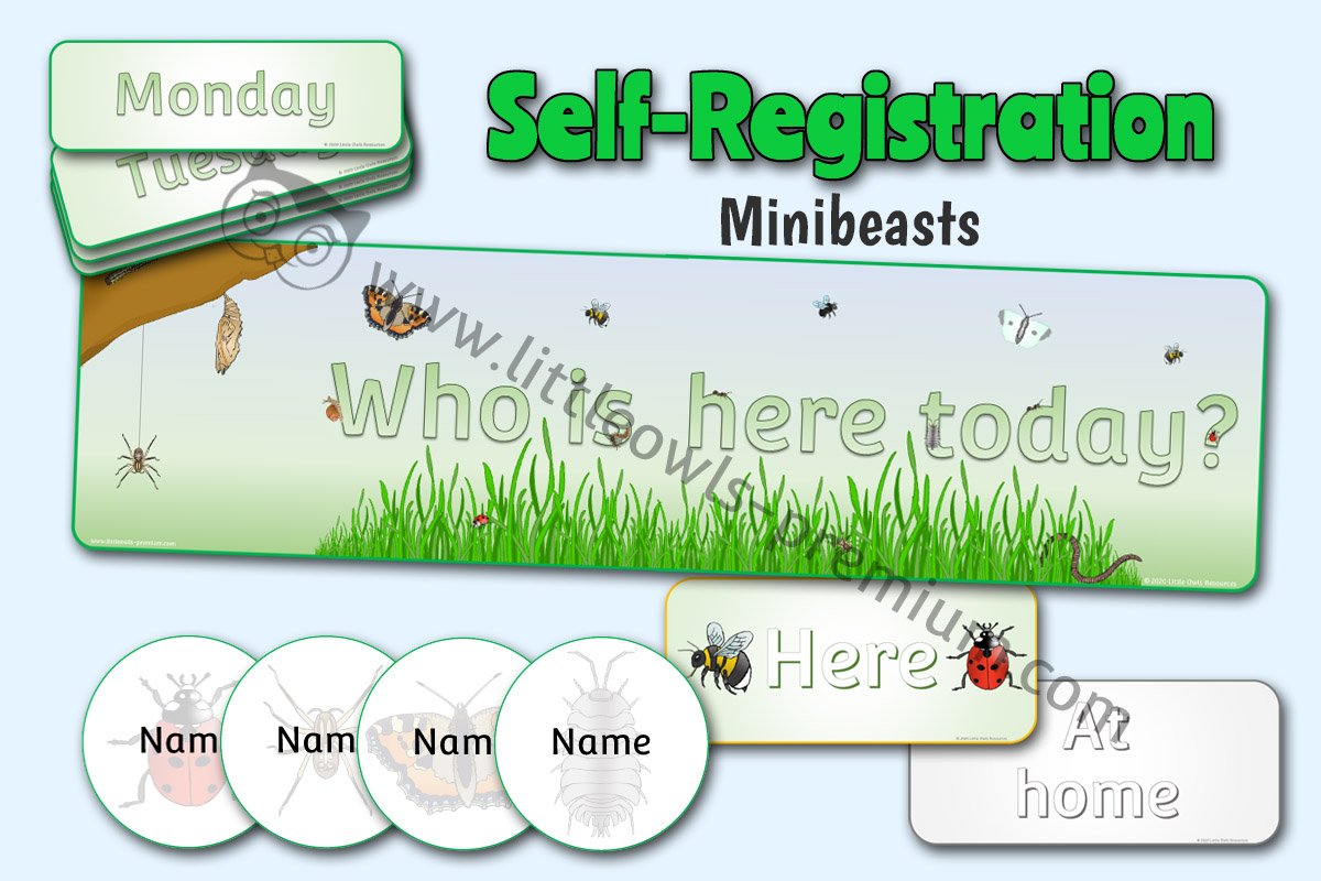 'MINIBEASTS' SELF REGISTRATION DISPLAY