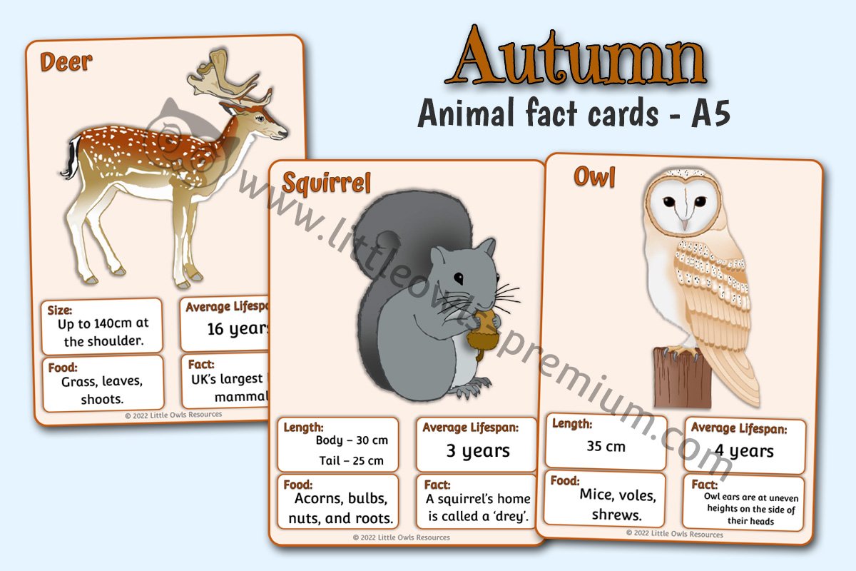 AUTUMN - Animal Fact Cards - A5