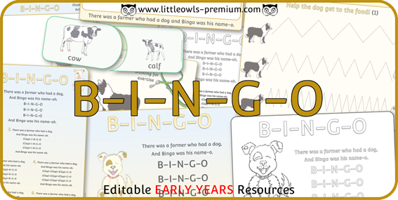 B-I-N-G-O — resource cover