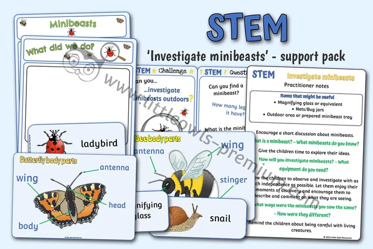 Investigate Minibeasts — STEM Support Pack — resource cover