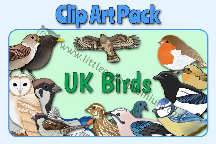Clip Art Packs — collection cover