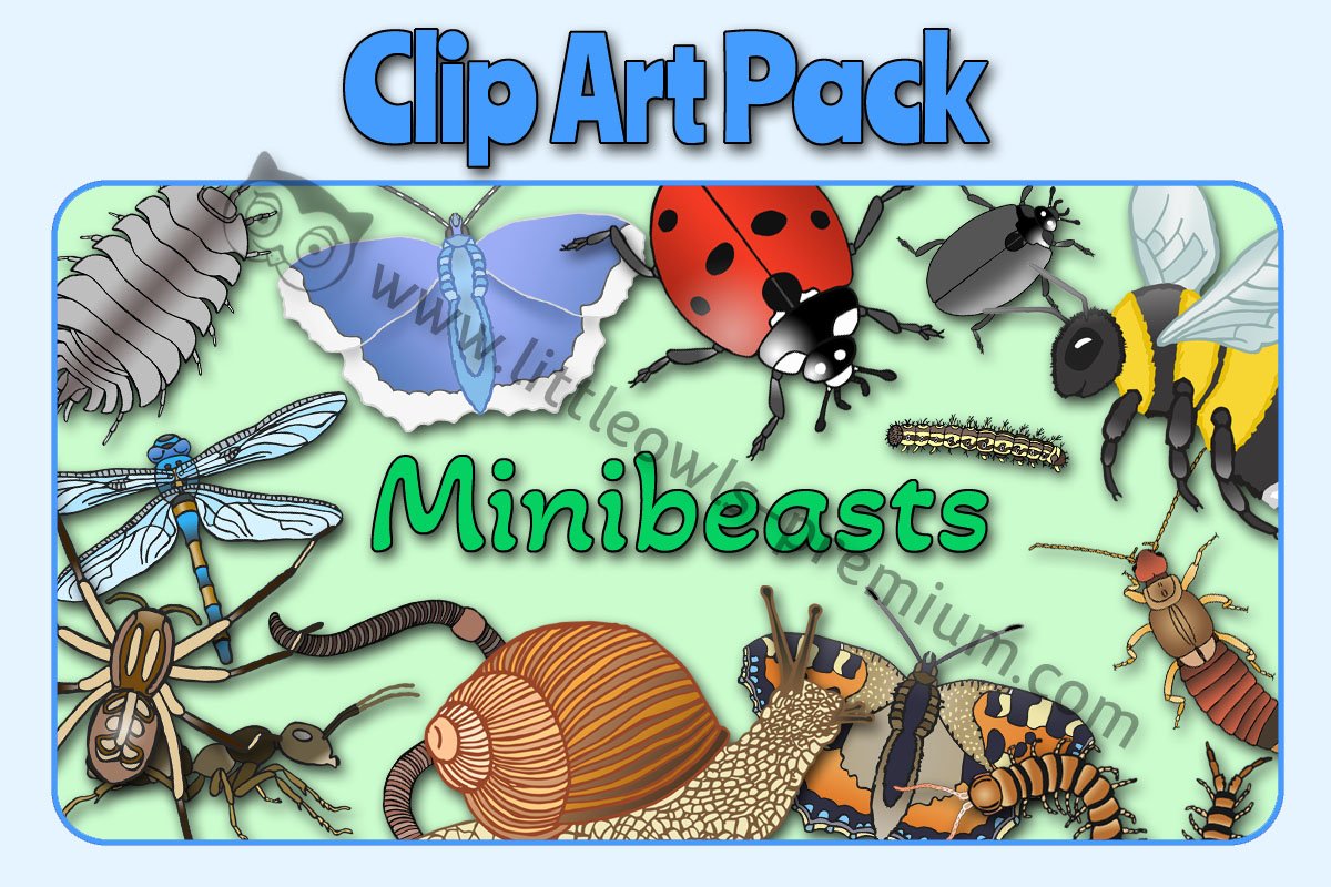 Minibeasts Clip Art Cover.jpg