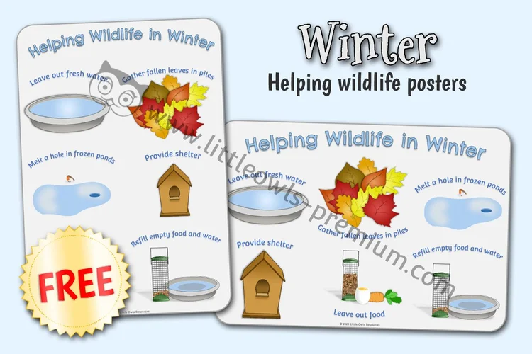 Helping Wildlife in Winter Poster — resource cover